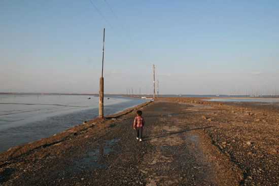 蟹御殿 海中道路